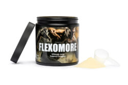 Read more about the article Joint Health Supplement: Flexomore Supplement Review